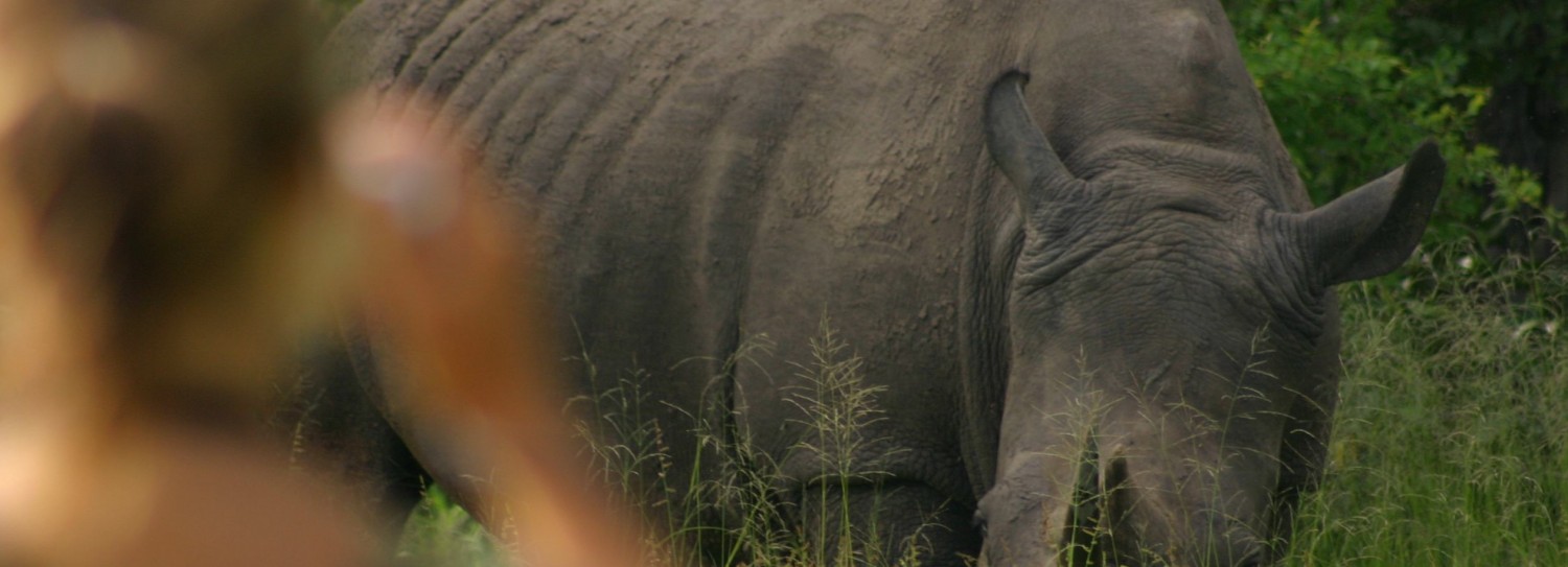 Livingstone Rhino Walking Safaris