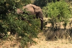 WhatsApp-Image-2019-06-06-at-07.44.14
